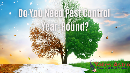 Four seasons shown throughout one tree, with the words "Do You Need Pest Control Year-Round?" in the center. The Yates-Astro logo is in the bottom right corner.